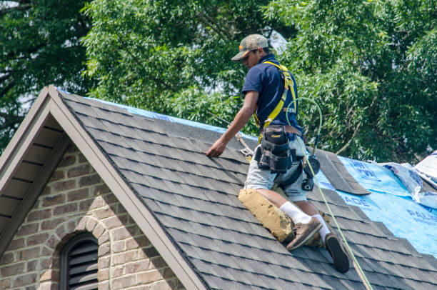 Best Roof Waterproofing Services  in Soldotna, AK